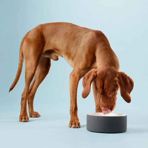 PAIKKA Cool Bowl 7 PAIKKA Cool Bowl - Image 7