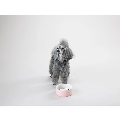 PAIKKA Slow Feed Bowl 3 PAIKKA Slow Feed Bowl - Image 3