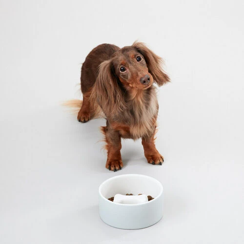 PAIKKA Slow Feed Bowl 7 PAIKKA Slow Feed Bowl - Image 7