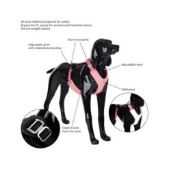 PAIKKA Visibility Harness -Heimtierbedarf Angebote paikka visibility harness 217810 0500 none
