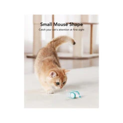 Petlibro Pixie Mouse -Heimtierbedarf Angebote petlibro pixie mouse 221373 0500 none