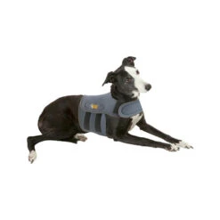 Petlife KarmaWrap Für Hunde -Heimtierbedarf Angebote petlife karmawrap hond 154186 0500 none