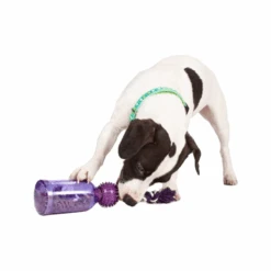 PetSafe Tug-a-Jug -Heimtierbedarf Angebote petsafe tug a jug 216335 0500 none