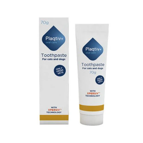 Plaqtiv+ Zahnpasta Hund Und Katze 1 Plaqtiv+ Zahnpasta Hund Und Katze