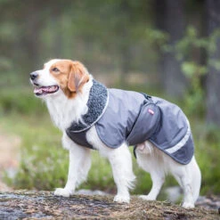 Pomppa Perus Hundejacke -Heimtierbedarf Angebote pomppa perus hondenjas 215732 0500 none