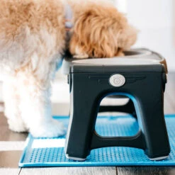 Popware Pet Bowl Grippmat 7 Popware Pet Bowl Grippmat -Heimtierbedarf Angebote popware pet bowl grippmat 164719 0500 none