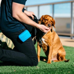 Popware Pooch Pouch Treatbag -Heimtierbedarf Angebote popware pooch pouch treatbag 164698 0500 none