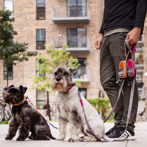 DOG Copenhagen Urban Trail Leine 2 DOG Copenhagen Urban Trail Leine - Image 2