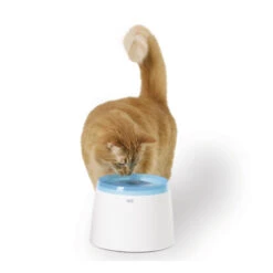 Catit Fresh & Clear Drinking Fountain 7 Catit Fresh & Clear Drinking Fountain -Heimtierbedarf Angebote product catit fresh clear drinking fountain 2l none 4 1465984674 69903