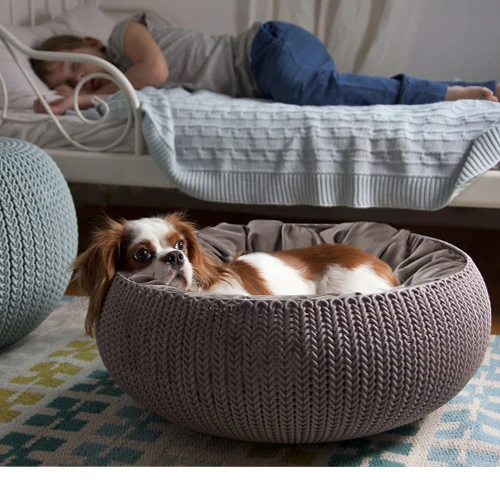 Curver Cozy Pet Bed - Image 4