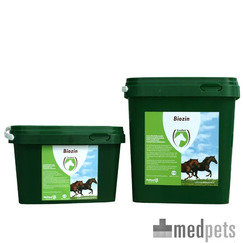 Excellent Biozin Für Pferde 1 Excellent Biozin Für Pferde