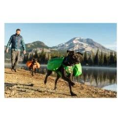 Ruffwear Approach Pack -Heimtierbedarf Angebote product ruffwear approach pack none 4 1489677652 84736