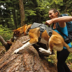 Ruffwear Webmaster Harness 39 Ruffwear Webmaster Harness -Heimtierbedarf Angebote product ruffwear webmaster harness none 4 1471947180 76768