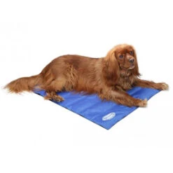 Scruffs Cooling Mat -Heimtierbedarf Angebote product scruffs cooling mat none 4 1472200005 76954