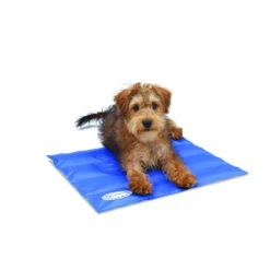 Scruffs Cooling Mat -Heimtierbedarf Angebote product scruffs cooling mat none 4 1472200006 76957