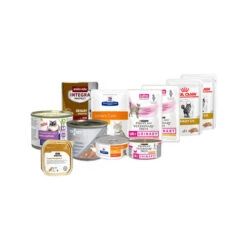 ROYAL CANIN Probierpaket Blasengrieß Katze