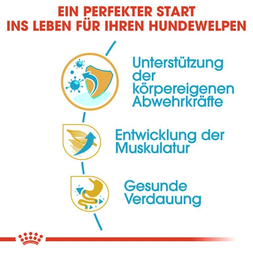 Royal Canin Boxer Puppy - Hundefutter 2 Royal Canin Boxer Puppy - Hundefutter - Image 2