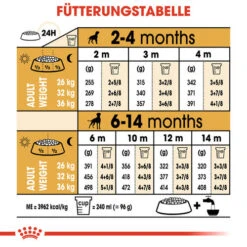 Royal Canin Boxer Puppy - Hundefutter 14 Royal Canin Boxer Puppy - Hundefutter -Heimtierbedarf Angebote royal canin boxer puppy hondenvoer 137500 0500 none