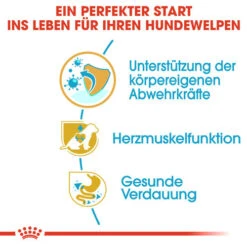 Royal Canin Cavalier King Charles Puppy - Hundefutter -Heimtierbedarf Angebote royal canin cavalier king charles puppy hondenvoer 137923 0500 none