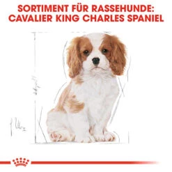 Royal Canin Cavalier King Charles Puppy - Hundefutter -Heimtierbedarf Angebote royal canin cavalier king charles puppy hondenvoer 137932 0500 none