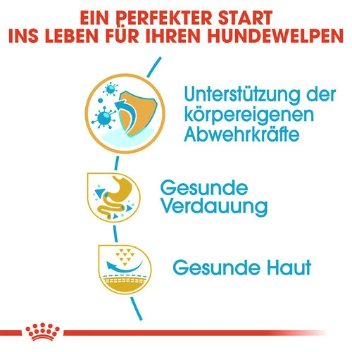 Royal Canin French Bulldog Puppy - Hundefutter 2 Royal Canin French Bulldog Puppy - Hundefutter - Image 2