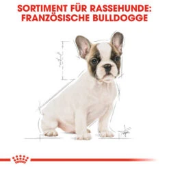Royal Canin French Bulldog Puppy - Hundefutter 11 Royal Canin French Bulldog Puppy - Hundefutter -Heimtierbedarf Angebote royal canin french bulldog puppy hondenvoer 138718 0500 none