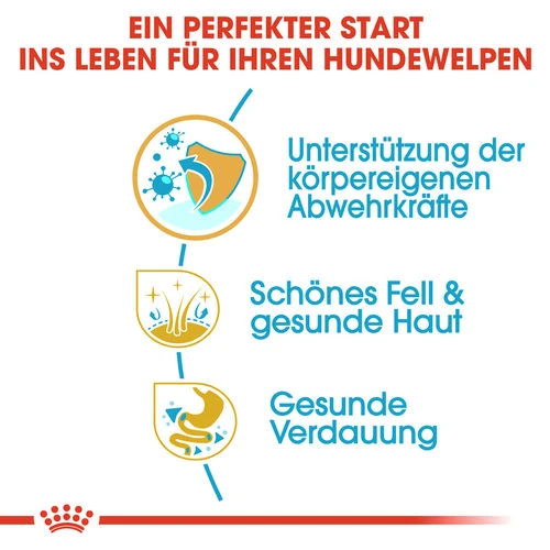 Royal Canin Golden Retriever Puppy - Hundefutter 2 Royal Canin Golden Retriever Puppy - Hundefutter - Image 2