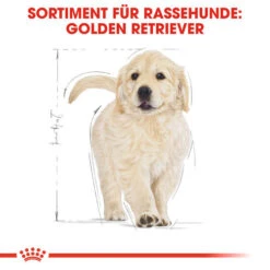 Royal Canin Golden Retriever Puppy - Hundefutter 11 Royal Canin Golden Retriever Puppy - Hundefutter -Heimtierbedarf Angebote royal canin golden retriever puppy hondenvoer 138958 0500 none