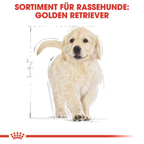 Royal Canin Golden Retriever Puppy - Hundefutter 4 Royal Canin Golden Retriever Puppy - Hundefutter - Image 4