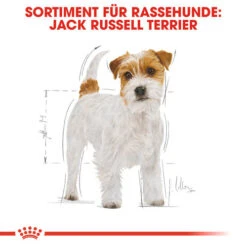 Royal Canin Jack Russell Terrier Adult - Hundefutter -Heimtierbedarf Angebote royal canin jack russell terrier adult hondenvoer 139060 0500 none