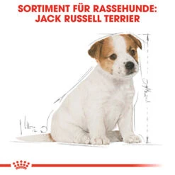 Royal Canin Jack Russell Terrier Puppy - Hundefutter -Heimtierbedarf Angebote royal canin jack russell terrier puppy hondenvoer 139318 0500 none