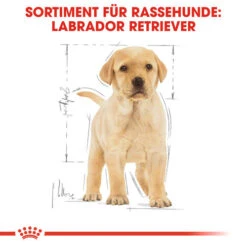 Royal Canin Labrador Retriever Puppy - Hundefutter -Heimtierbedarf Angebote royal canin labrador retriever puppy hondenvoer 139438 0500 none