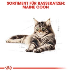 Royal Canin Maine Coon Adult Wet - Katzenfutter -Heimtierbedarf Angebote royal canin maine coon adult wet kattenvoer 126014 0500 none