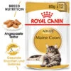 Royal Canin Maine Coon Adult Wet - Katzenfutter