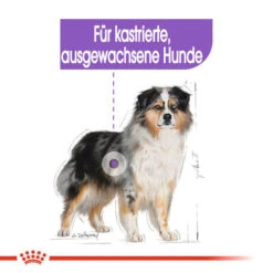Royal Canin Medium Sterilised - Hundefutter -Heimtierbedarf Angebote royal canin medium sterilised hondenvoer 132911 0500 none
