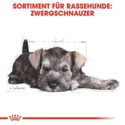 Royal Canin Mini Schnauzer Puppy - Hundefutter -Heimtierbedarf Angebote royal canin mini schnauzer puppy hondenvoer 140182 0500 none