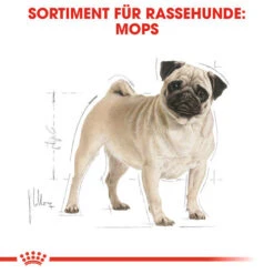 Royal Canin Pug Adult - Hundefutter -Heimtierbedarf Angebote royal canin pug adult hondenvoer 139798 0500 none
