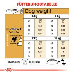 Royal Canin Pug Adult - Hundefutter -Heimtierbedarf Angebote royal canin pug adult hondenvoer 139834 0500 none