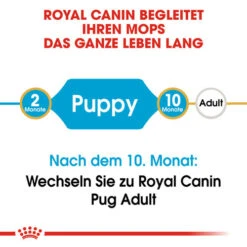 Royal Canin Pug Puppy - Hundefutter -Heimtierbedarf Angebote royal canin pug puppy hondenvoer 139858 0500 none