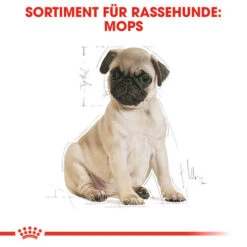 Royal Canin Pug Puppy - Hundefutter -Heimtierbedarf Angebote royal canin pug puppy hondenvoer 139885 0500 none