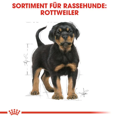Royal Canin Rottweiler Puppy - Hundefutter 4 Royal Canin Rottweiler Puppy - Hundefutter - Image 4