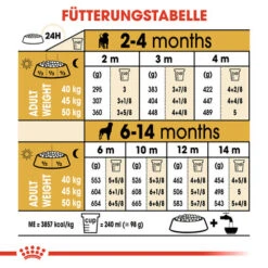Royal Canin Rottweiler Puppy - Hundefutter 14 Royal Canin Rottweiler Puppy - Hundefutter -Heimtierbedarf Angebote royal canin rottweiler puppy hondenvoer 140038 0500 none
