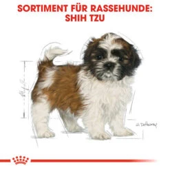 Royal Canin Shih Tzu Puppy - Hundefutter 11 Royal Canin Shih Tzu Puppy - Hundefutter -Heimtierbedarf Angebote royal canin shih tzu junior hondenvoer 140411 0500 none