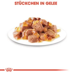 Royal Canin Sterilised In Jelly - Katzenfutter -Heimtierbedarf Angebote royal canin sterilised in jelly kattenvoer 128144 0500 none