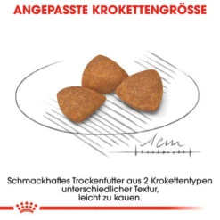 Royal Canin X-Small Ageing 12+ - Hundefutter -Heimtierbedarf Angebote royal canin x small ageing 12 hondenvoer 128977 0500 none