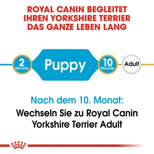 Royal Canin Yorkshire Terrier Puppy - Hundefutter 5 Royal Canin Yorkshire Terrier Puppy - Hundefutter - Image 5