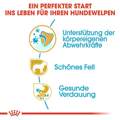 Royal Canin Yorkshire Terrier Puppy - Hundefutter 2 Royal Canin Yorkshire Terrier Puppy - Hundefutter - Image 2