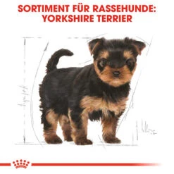 Royal Canin Yorkshire Terrier Puppy - Hundefutter 11 Royal Canin Yorkshire Terrier Puppy - Hundefutter -Heimtierbedarf Angebote royal canin yorkshire terrier puppy hondenvoer 140804 0500 none