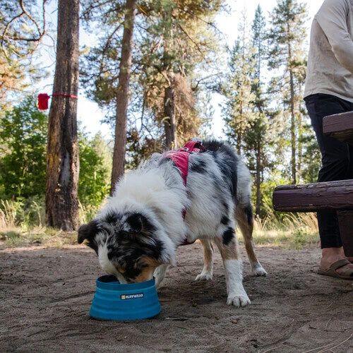 Ruffwear Bivy Bowl 6 Ruffwear Bivy Bowl - Image 6