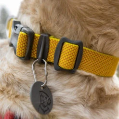 Ruffwear Hi & Light Halsband -Heimtierbedarf Angebote ruffwear hi light collar 194258 0500 none